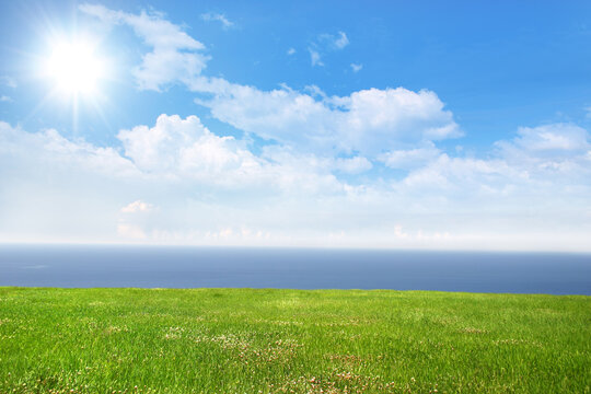 Fresh green grass on bright sunny day and sea in the background