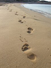 beautiful footprints on golden sand of greece  islands