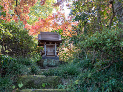 「祠」の写真素材 | 1,799,166件の無料イラスト画像 | Adobe Stock