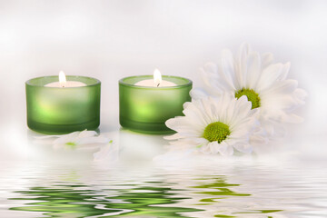 Fototapeta na wymiar Green candles and daisies near water reflection on dreamy white background