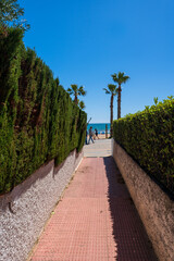A walk to the sea on a sunny day. Bright sunny day in Spain