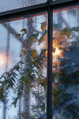 Licht am Abend im Glashaus, von Garten aus