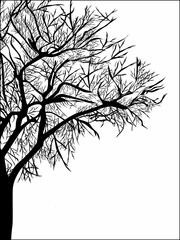 Abstract vector of tree on white background