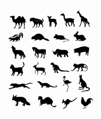 wild animals vector illustration background in black