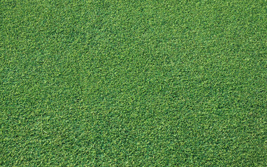 Green grass of a golf course