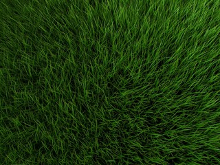 Fototapeta premium 3 rendered illustration of a green grass field