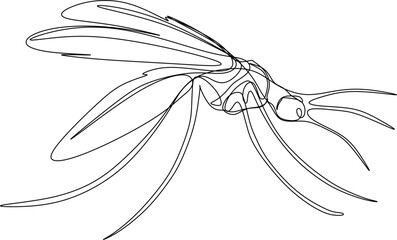 One line art. one continuous line art of a mosquito