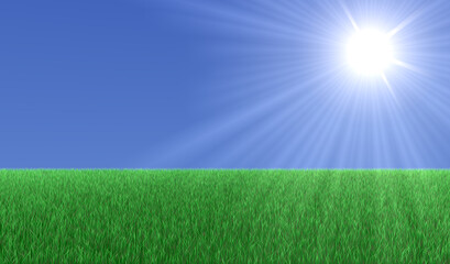 Big green field with grass and a big Sun in the sky