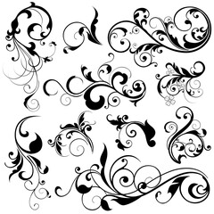 illustration drawing of floral design elements