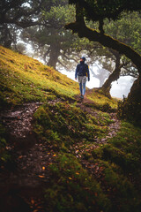 Front view of a backpacker in rainproof clothes walking on a hike trail in a mystical misty forest with huge laurel trees. Fanal Forest, Madeira Island, Portugal, Europe.