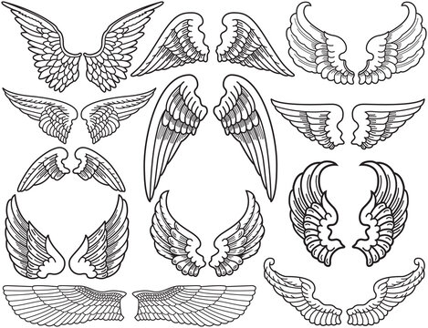 Twelve Sets of Black and White Angel Wings