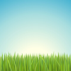 Fototapeta na wymiar Clear blue sky with green grass.