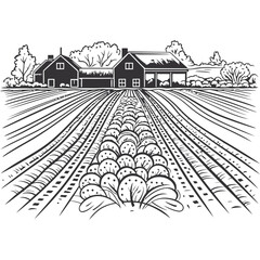 Organic farm harvests healthy food