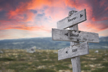 never stand still text quote on wooden signpost outdoors in nature. Pink dramatic skies in the background.
