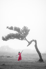 Barefoot woman in red dress reaches for an aesthetic laurel tree in a misty field. Fanal forest, Madeira Island, Portugal, Europe.