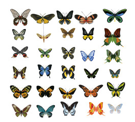 Fototapeta premium many multicolored butterflies on a white background