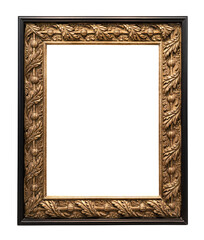 old vertical bronze carved wide picture frame isolated on white background with cut out canvas
