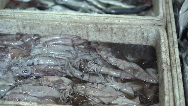 Fresh sea fish for sale in Indonesian traditional market. Ujung genteng beach, Sukabumi, Indonesia