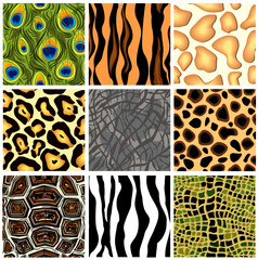 Set seamless the patterns animals. Vector illustration