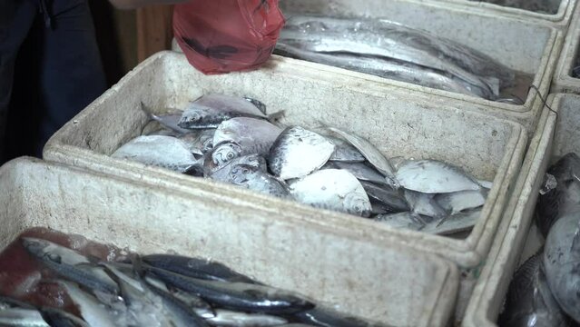 Fresh sea fish for sale in Indonesian traditional market. Ujung genteng beach, Sukabumi, Indonesia