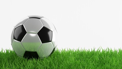 Fototapeta na wymiar Soccer ball on green grass. 3d-rendering