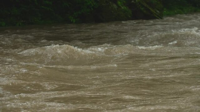 山の上流で茶色く濁った川 渓流 濁流 土石流 大雨 災害 自然破壊 120p スロー
