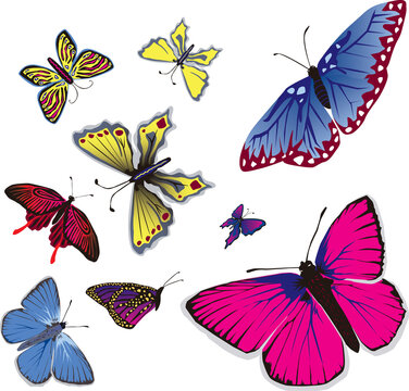 Vector illustration of many flying butterflies.