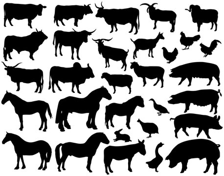 Vector silhouettes of various livestock animals