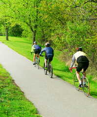 Naklejka premium Group of friends bicycling in a summer park