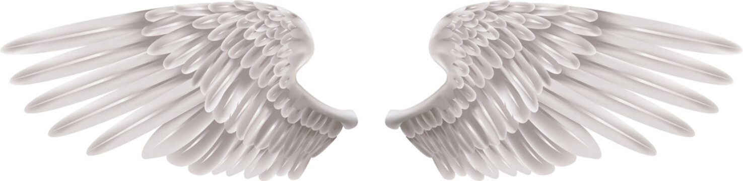 Illustration of a pair of outstretched beautiful white wings