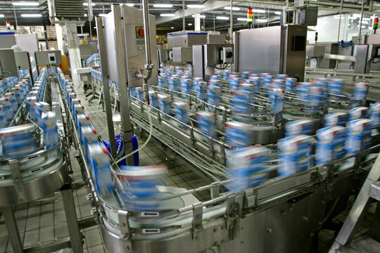 automated production line in modern dairy factory