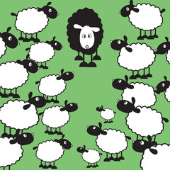One black sheep amongst lots of white ones