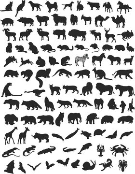 100 black silhouettes of different animals