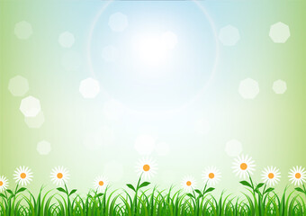 Fototapeta premium Summer Spring Background. Green Natural background During Spring Time. Vector Illustration.