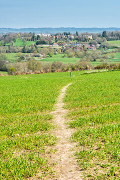 View Across To Penshurst Near Tunbridge Wells In Kent, England