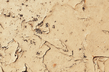 Cracked paint on metal surface. Metal texture with rust