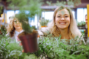 Asparagus in pot is held in hand of unfocused attractive blonde. Unpretentious plants for winter garden. Hobby. 