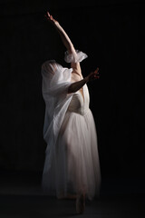 Professional ballerina dancing ballet.Ballerina in a white dress and pointe shoes. Dark background. Veil. Scene. Performance