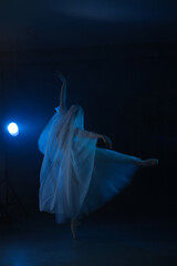 Professional ballerina dancing ballet.Ballerina in a white dress and pointe shoes. Dark background, blue light. Veil. Scene. Performance