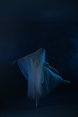 Professional ballerina dancing ballet.Ballerina in a white dress and pointe shoes. Dark background, blue light. Veil. Scene. Performance