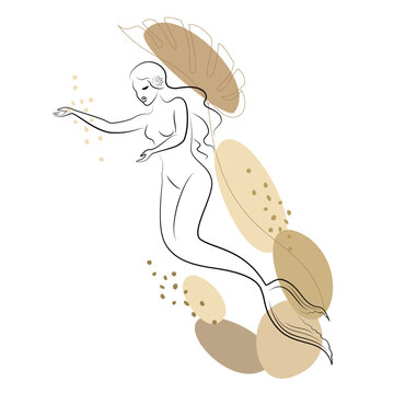 recommend clip art: Mermaid silhouette. A beautiful girl swims in the water. Next to the leaves of the plant. Fantastic image of a fairy tale. Vector illustration.