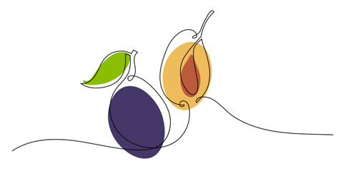 Continuous one line drawing plums with leaves and seeds. Abstract hand drawn fruit by one line. Organic simple icon with purple, yellow and green spots on white. Fashionable trend vector illustration