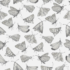 Seamless pattern with fantasy moths, butterflies in pencil drawing sketch. Happy summer illustration. Wallpaper, textile, backgound for kids