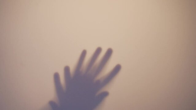 Silhouette of a beautiful sexy girl performing seductive body movements. Shadows and silhouettes of hands on a white background. The shadow of the girl through the glass.