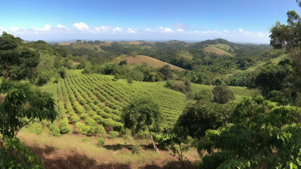Fototapeta na wymiar Coffee plantation. Landscape with coffee trees. Ripening coffee berry, organic harvest. Created with Generative AI
