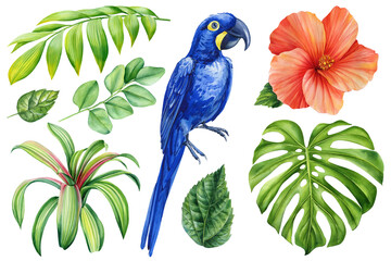 Tropical set watercolor illustration hand drawing. Blue parrot, hibiscus flowers, palm leaf. Isolated white background