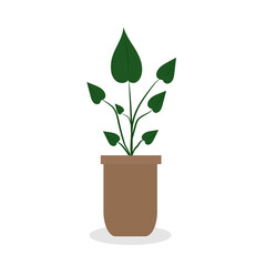 Home plant in pot, cute flat cartoon illustration. 
