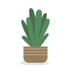 Home plant in pot, cute flat cartoon illustration. 