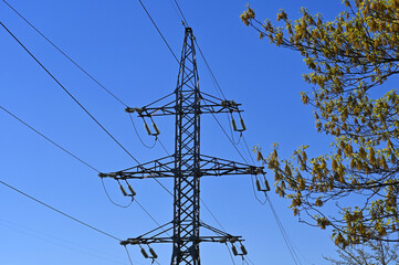 A transmission tower on the background of a spring tree