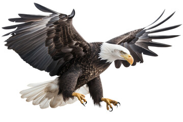 Obraz premium an isolated bald eagle (Haliaeetus leucocephalus), flying in motion and in landing position, elusive, Wildlife-themed, photorealistic illustration on a transparent background PNG. Generative AI 